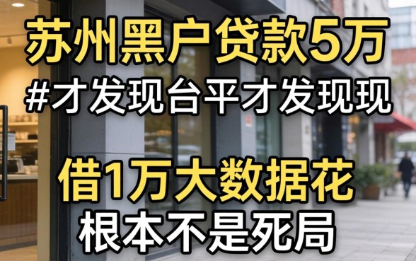 我试了所谓的苏州黑户贷款5万的平台,才发现借1万大数据花根本不是死局