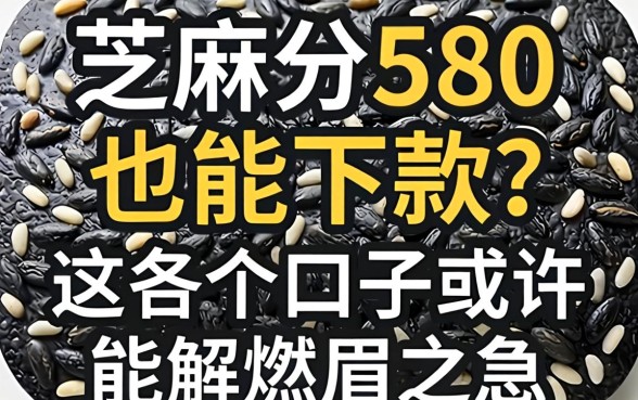 芝麻分580也能下款？这几个口子或许能解燃眉之急
