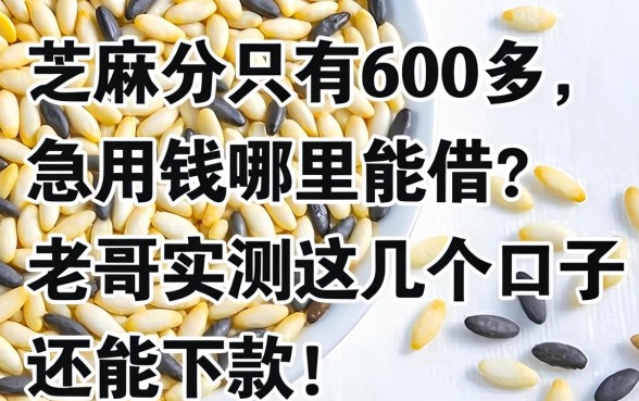 芝麻分只有600多，急用钱哪里能借？老哥实测这几个口子还能下款！