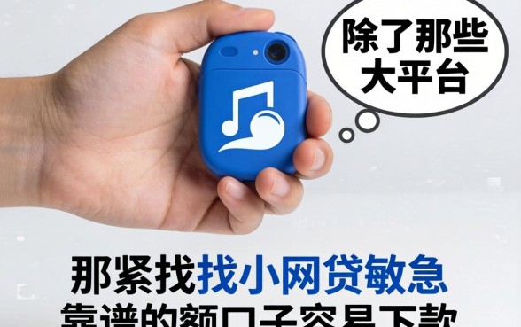 手头紧想找小网贷救急，除了那些大平台，还有哪些靠谱的小额口子容易下款？