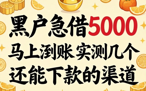 黑户急借5000马上到账,实测几个还能下款的渠道
