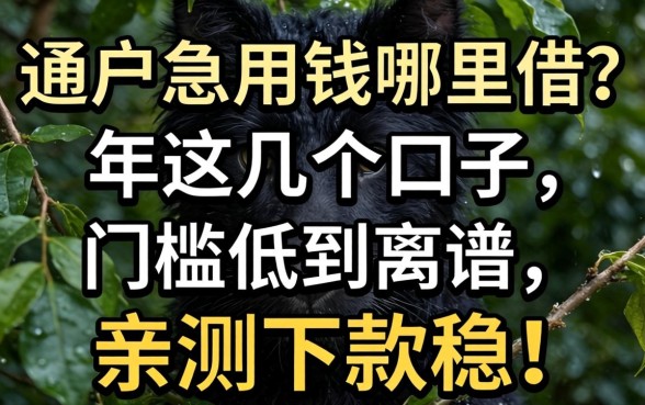 黑户急用钱哪里借？2026年这几个口子门槛低到离谱，亲测下款稳！