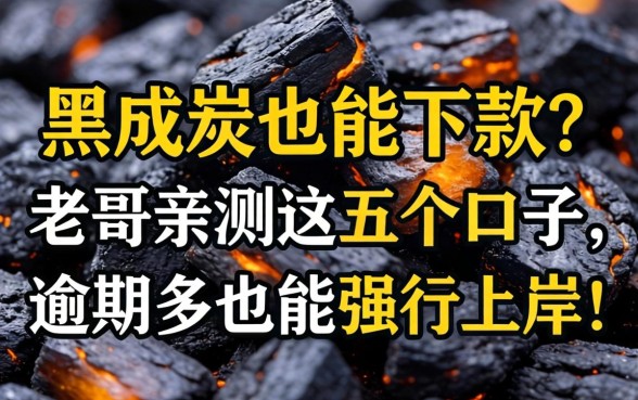 征信黑成炭也能下款?老哥亲测这五个口子,逾期多也能强行上岸!