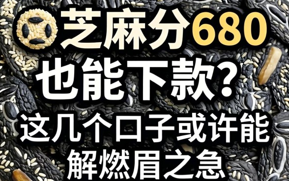 芝麻分580也能下款？这几个口子或许能解燃眉之急