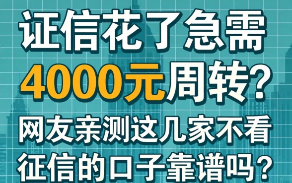 征信花了急需4000元周转？网友亲测这几家不看征信的口子靠谱吗？