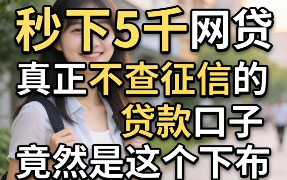 我试了那些号称秒下5千的网贷，真正不查征信的贷款口子竟然是这个下场