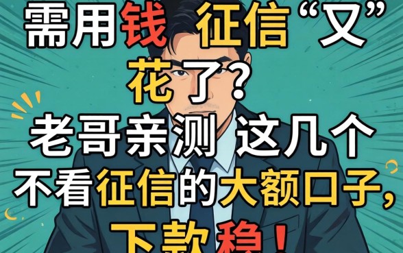 急需用钱征信又花了？老哥亲测这几个不看征信的大额口子，下款稳！