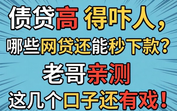 负债高得吓人，哪些网贷还能秒下款？老哥亲测这几个口子还有戏！