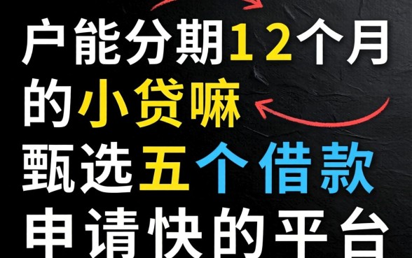 黑户能分期12个月的小贷嘛，甄选五个借款申请快的平台