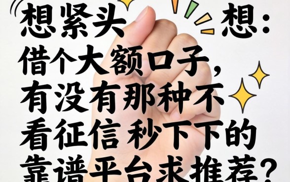 手头紧想借个大额口子，有没有那种不看征信秒下的靠谱平台求推荐？