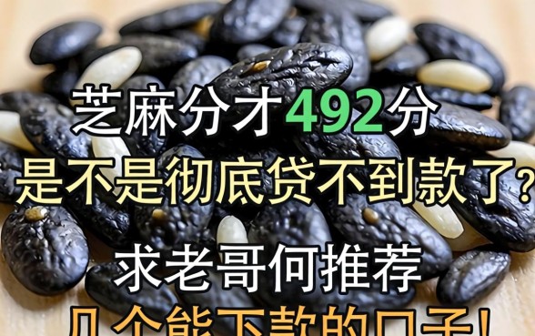 芝麻分才492分，是不是彻底贷不到款了？求老哥们推荐几个能下款的口子！