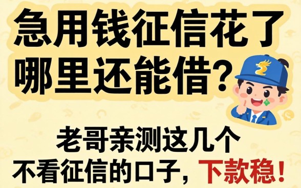 急用钱征信花了哪里还能借？老哥亲测这几个不看征信的口子，下款稳！