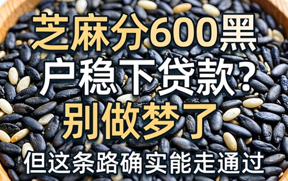 芝麻分600黑户稳下贷款?别做梦了,但这条路确实能走通