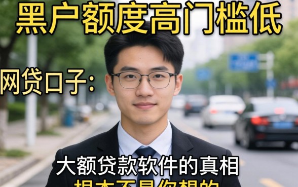我试了那些号称黑户额度高门槛低的网贷口子,结果发现大额贷款软件的真相根本不是你想的那样