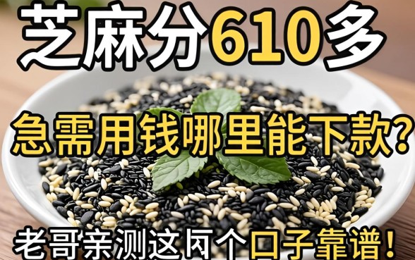 芝麻分610多，急需用钱哪里能下款？老哥亲测这几个口子靠谱！