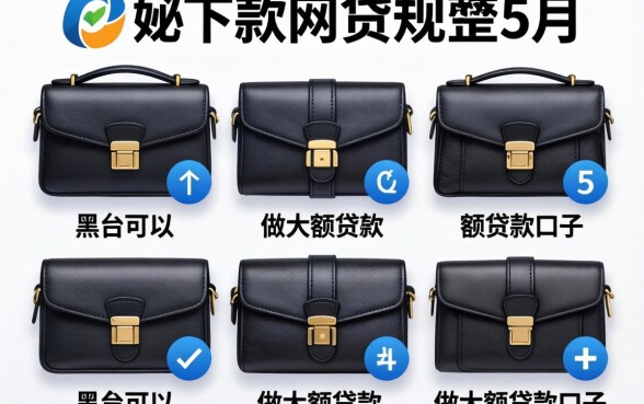 最新包下款网贷，规整5个黑户可以做大额贷款口子