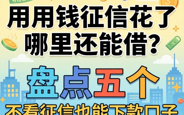 急用钱征信花了哪里还能借？盘点五个不看征信也能下款的口子