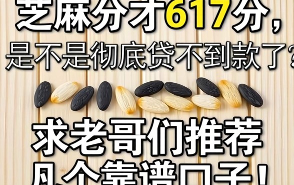 芝麻分才617分，是不是彻底贷不到款了？求老哥们推荐几个靠谱口子！