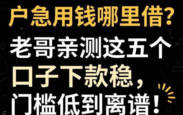 黑户急用钱哪里借？老哥亲测这五个口子下款稳，门槛低到离谱！