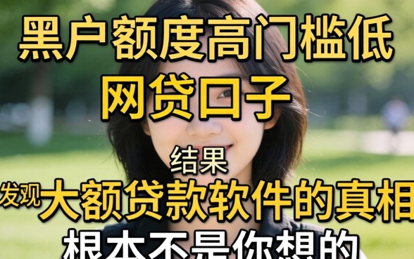 我试了那些号称黑户额度高门槛低的网贷口子,结果发现大额贷款软件的真相根本不是你想的那样