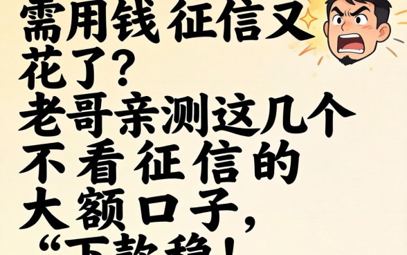 急需用钱征信又花了？老哥亲测这几个不看征信的大额口子，下款稳！