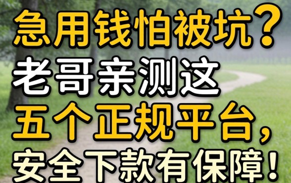 急用钱怕被坑？老哥亲测这五个正规平台，安全下款有保障！