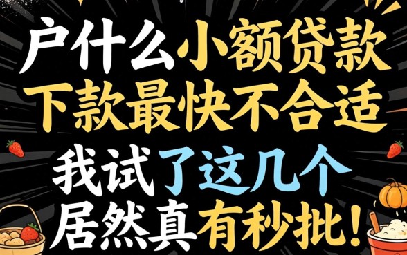 黑户什么小额贷款下款最快最合适，我试了这几个居然真有秒批的