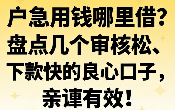 黑户急用钱哪里借?盘点几个审核松、下款快的良心口子,亲测有效!