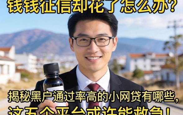 急需用钱征信却花了怎么办？揭秘黑户通过率高的小网贷有哪些，这五个平台或许能救急