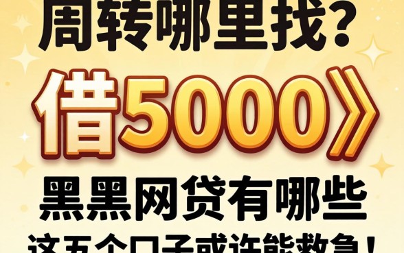 急需周转哪里找？能借5000的黑户网贷有哪些，这五个口子或许能救急！