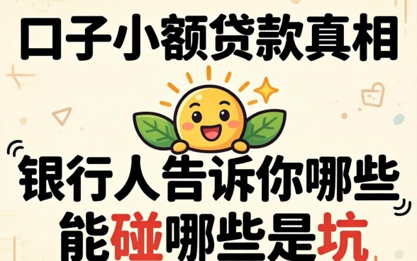 2026年黑口子小额贷款真相：银行人告诉你哪些能碰哪些是坑