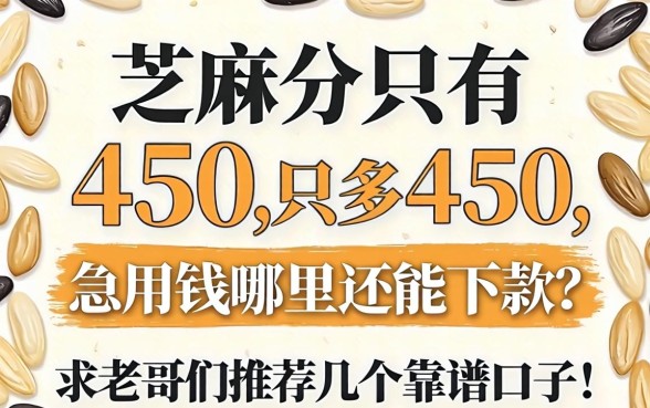 芝麻分只有450，急用钱哪里还能下款？求老哥们推荐几个靠谱口子！
