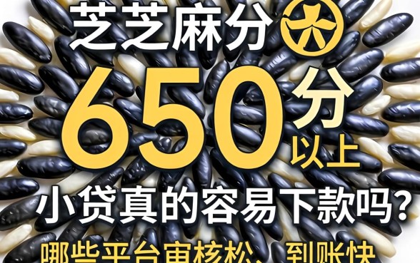 芝麻分650分以上小贷真的容易下款吗？哪些平台审核松、到账快？