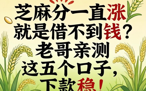 芝麻分一直涨就是借不到钱？老哥亲测这五个口子，下款稳！