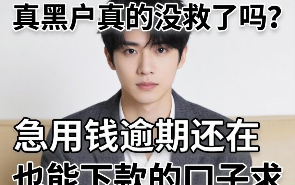 2026年黑户真的没救了吗？急用钱逾期还在也能下款的口子求推荐！