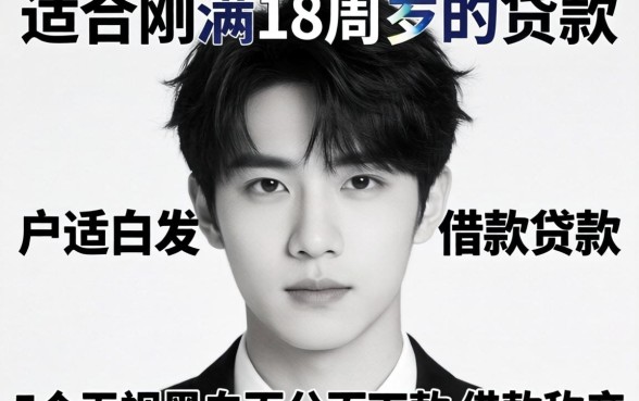 黑户适合刚满18周岁的贷款，概括5个无视黑白百分百下款的借款软件