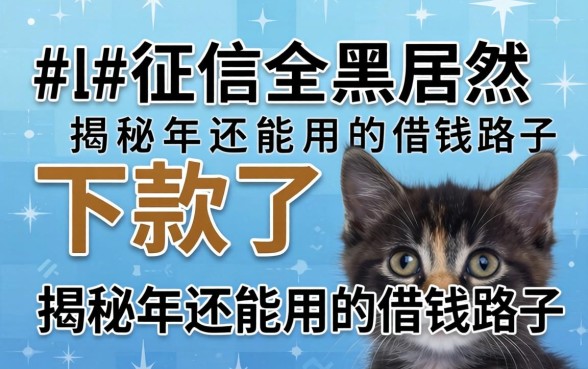 我征信全黑居然下款了，揭秘2026年还能用的借钱路子