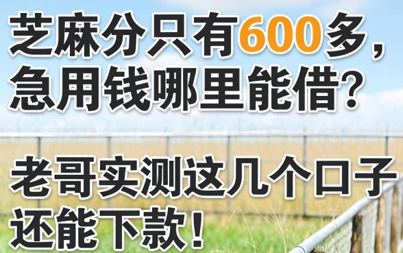 芝麻分只有600多，急用钱哪里能借？老哥实测这几个口子还能下款！