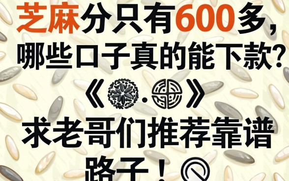 芝麻分只有600多,哪些口子真的能下款?求老哥们推荐靠谱路子!