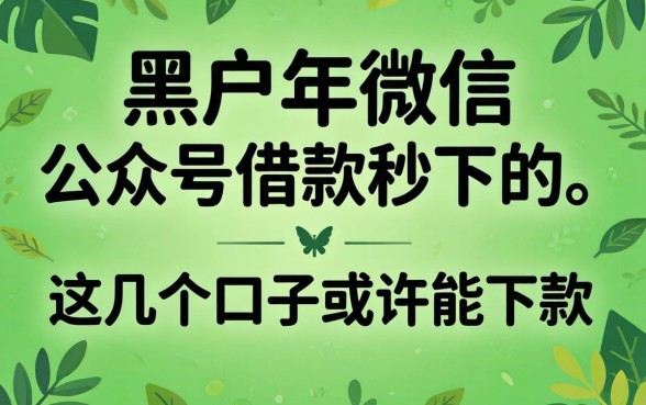 黑户2026年微信公众号借款秒下的，这几个口子或许能下款