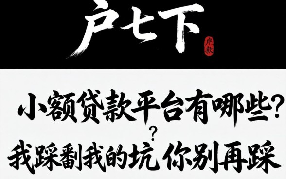 黑户下款小额贷款平台有哪些？我踩过的坑你别再踩
