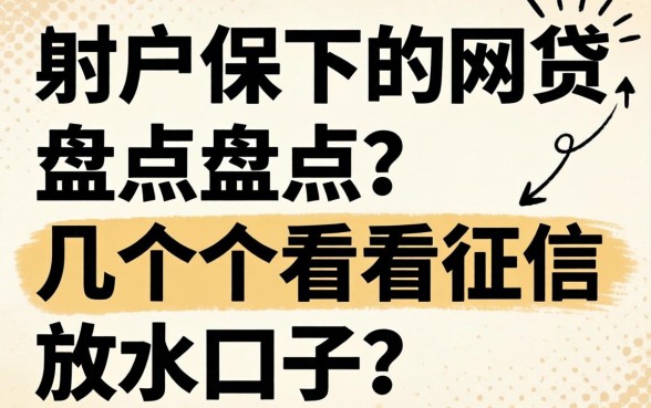 黑户保下的网贷:盘点几个不看征信的放水口子