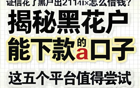 征信花了黑户怎么借钱？揭秘黑花户能下款的a口子，这五个平台值得尝试