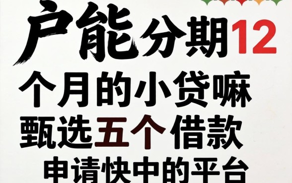 黑户能分期12个月的小贷嘛，甄选五个借款申请快的平台