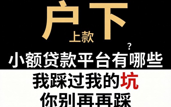 黑户下款小额贷款平台有哪些？我踩过的坑你别再踩