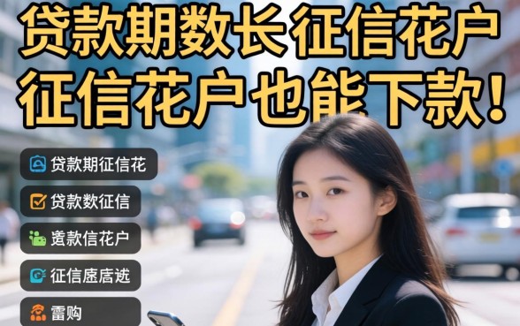分享几家贷款期数长的平台，征信花户也能下款的经验
