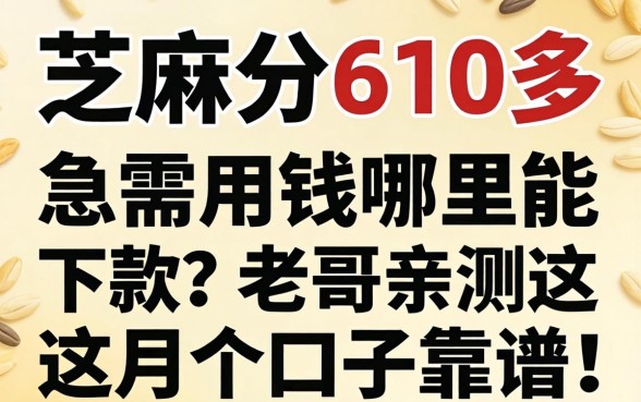 芝麻分610多，急需用钱哪里能下款？老哥亲测这几个口子靠谱！