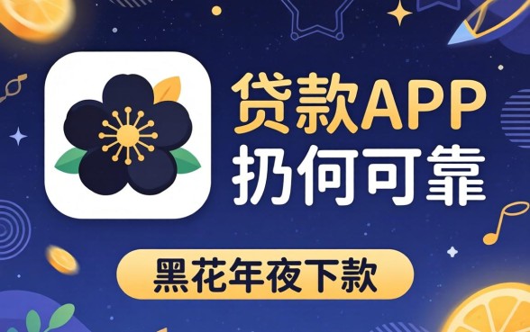 什么贷款app好用可靠,概括5个无视黑花半夜下款的网贷app