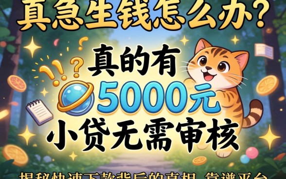 急需用钱怎么办？真的有5000元小贷无需审核吗？揭秘快速下款背后的真相与靠谱平台推荐
