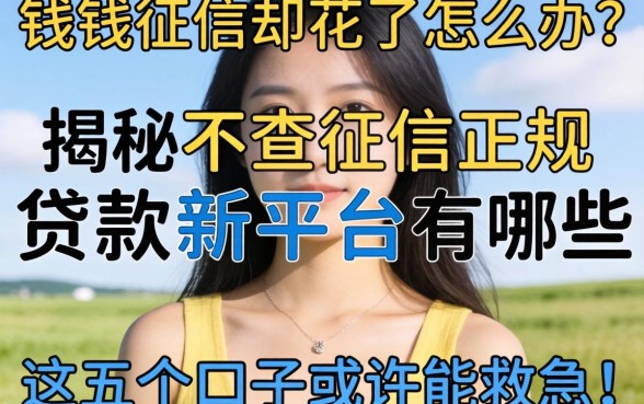 急需用钱征信却花了怎么办?揭秘不查征信正规贷款新平台有哪些,这五个口子或许能救急!